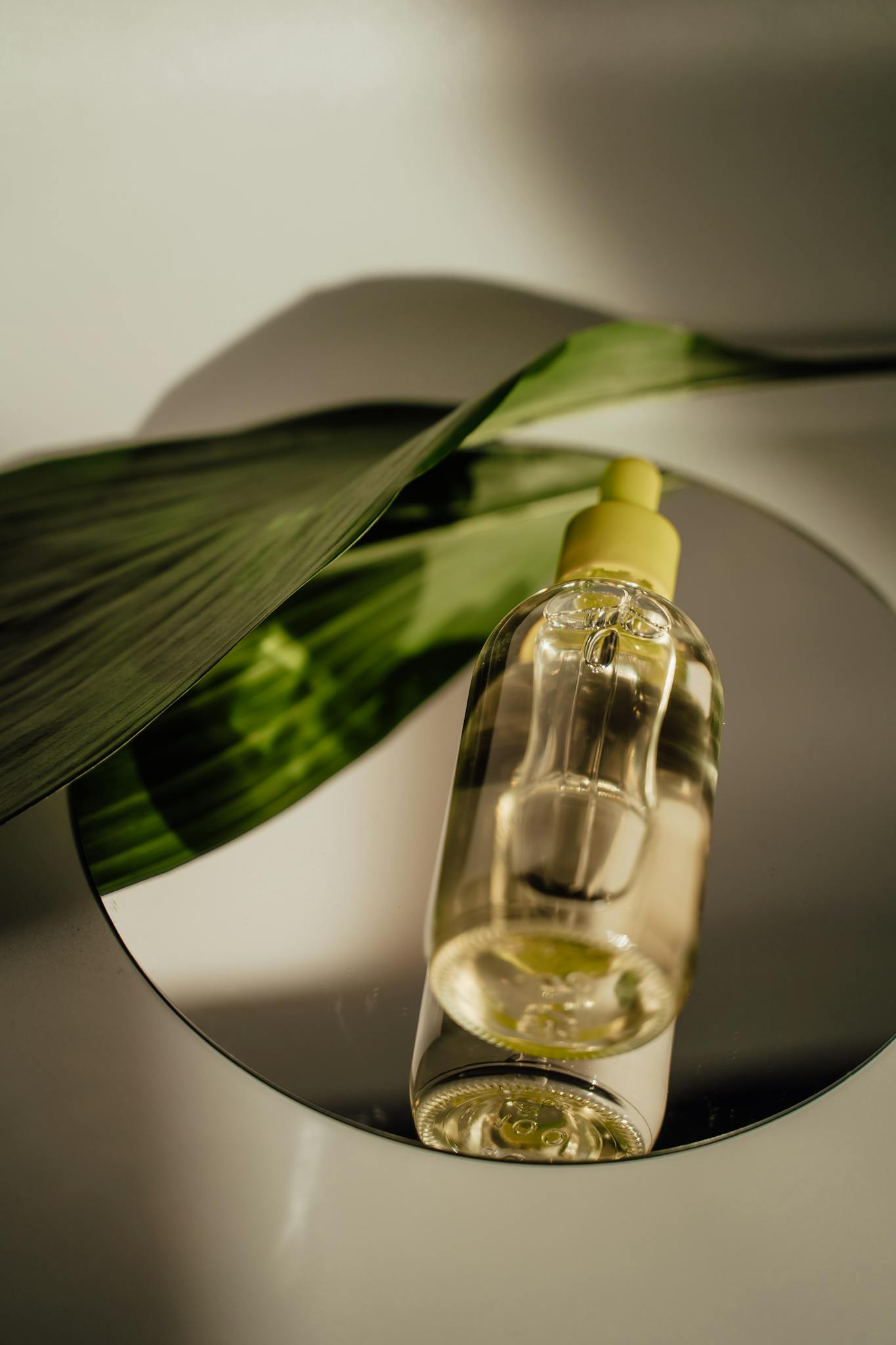 A stylish vertical shot of a cosmetic serum bottle with a leaf accent on a reflective surface.